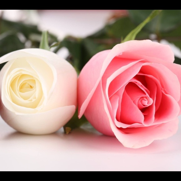 Meet the Posher Other - Meet your Posher, Rhonda